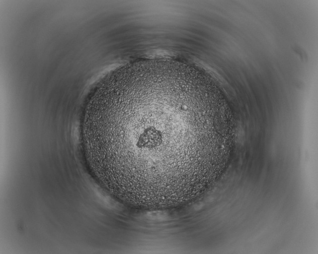 X0000114080353200910191547