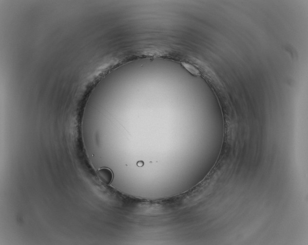 X0000114080354200910191547