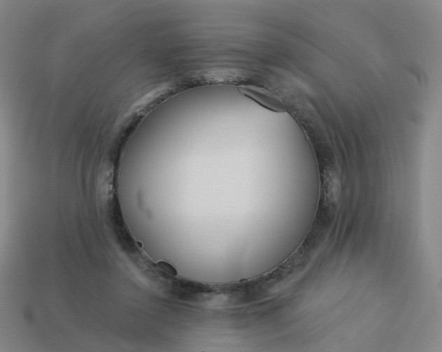 X0000114080356200910191547