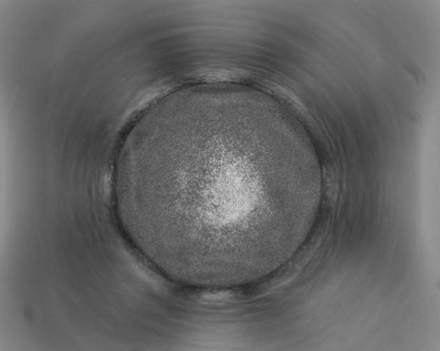 X0000114080357200910191547