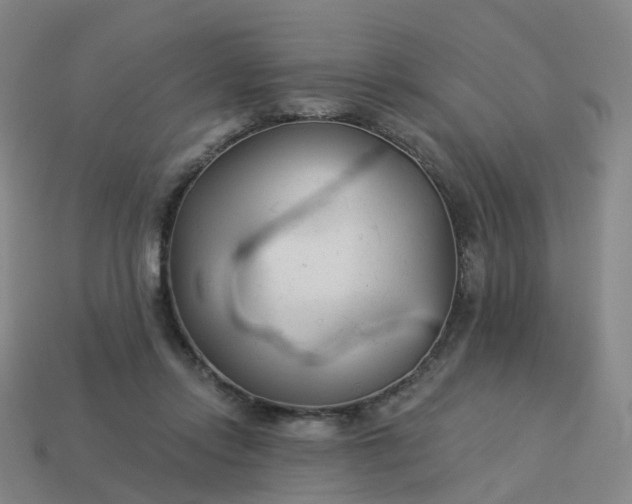 X0000114080358200910191547