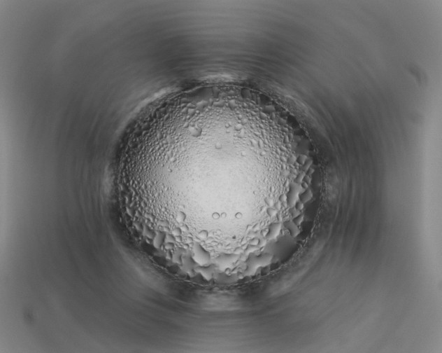 X0000114080359200910191547