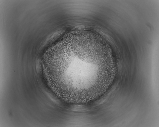 X0000114080361200910191547