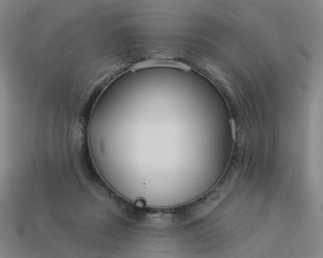 X0000114080362200910191547