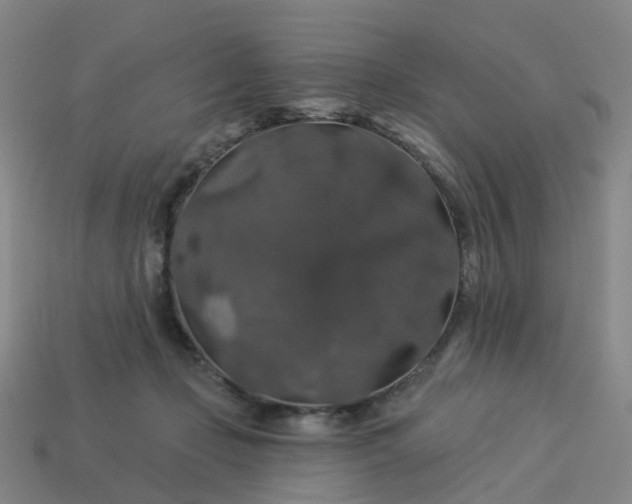 X0000114080365200910191547