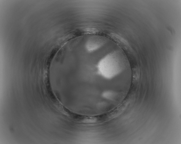 X0000114080369200910191547