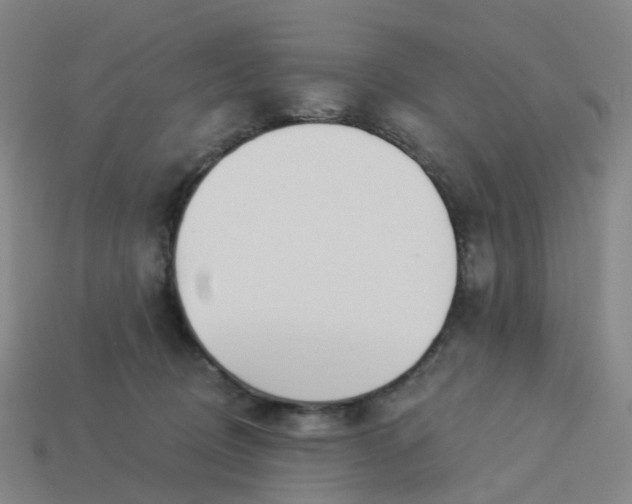 X0000114080370200910191547