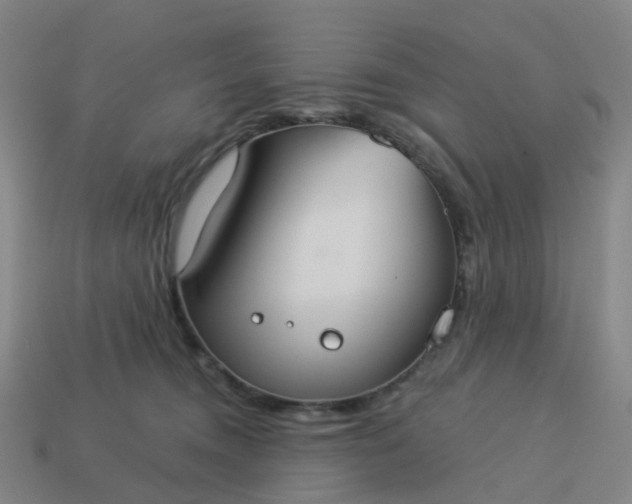 X0000114080372200910191547