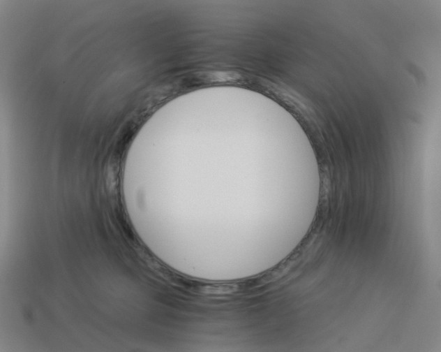 X0000114080373200910191547