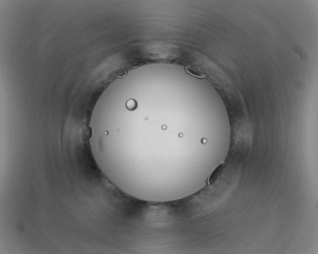 X0000114080376200910191547