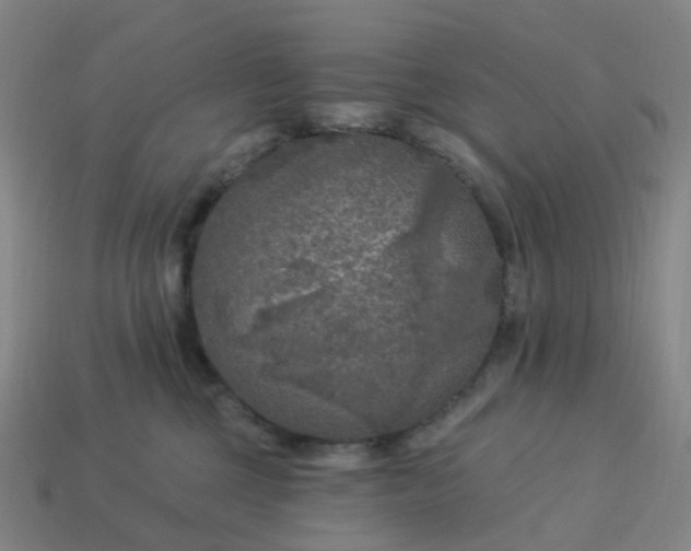 X0000114080377200910191547