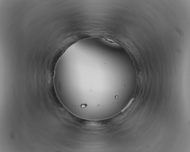 X0000114080380200910191547