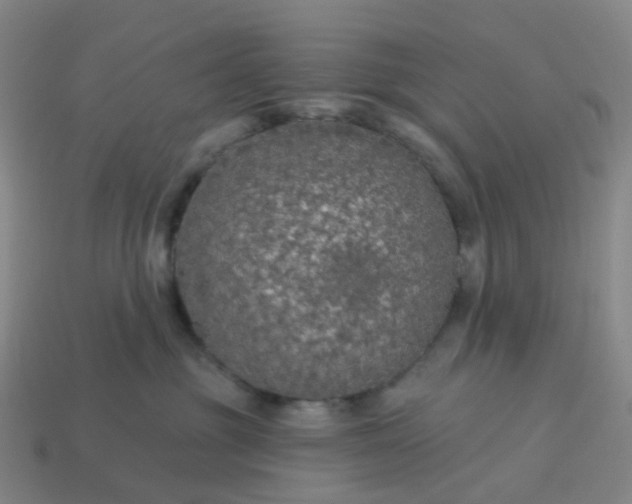 X0000114080381200910191547