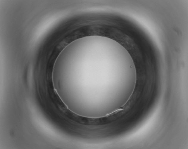 X0000114080382200910191547