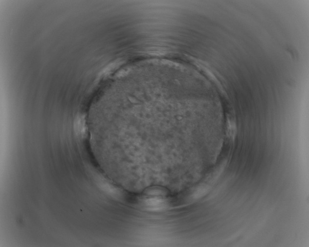 X0000114080383200910191547