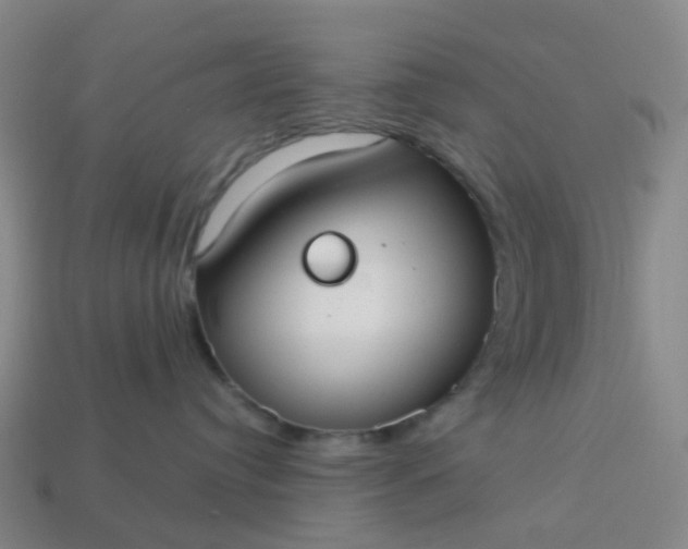 X0000114080384200910191547