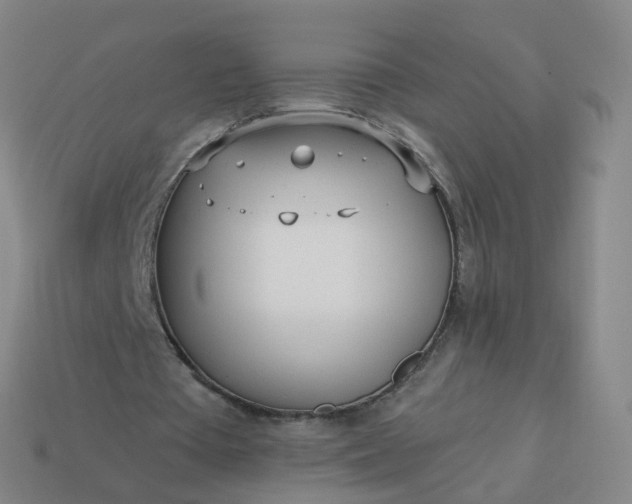 X0000114080385200910191546