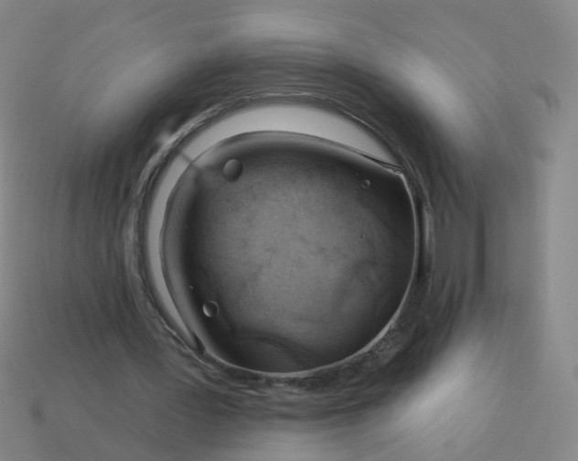 X0000114080387200910191546