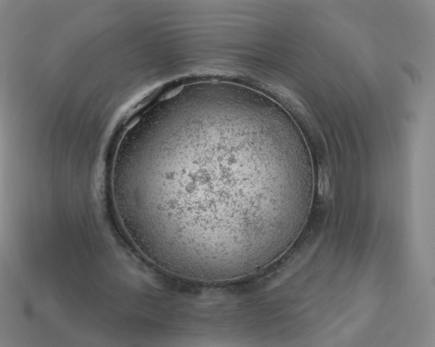 X0000114080388200910191546