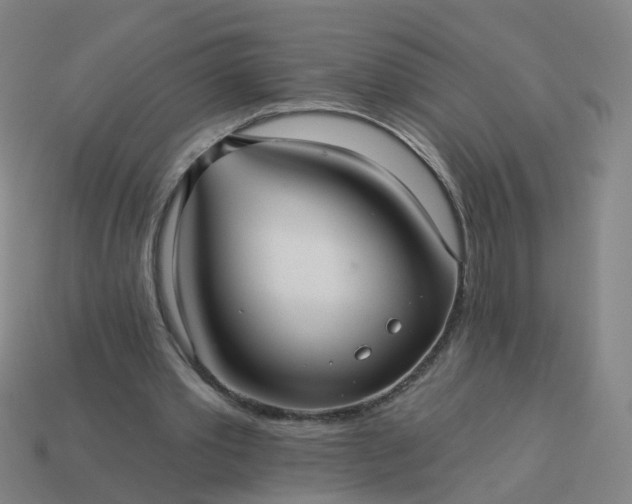 X0000114080389200910191546