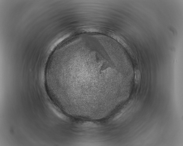 X0000114080390200910191546