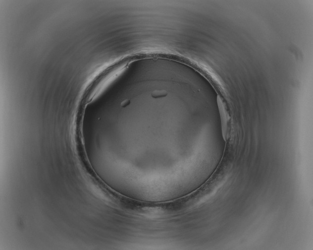 X0000114080391200910191546