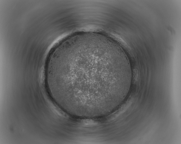 X0000114080392200910191546