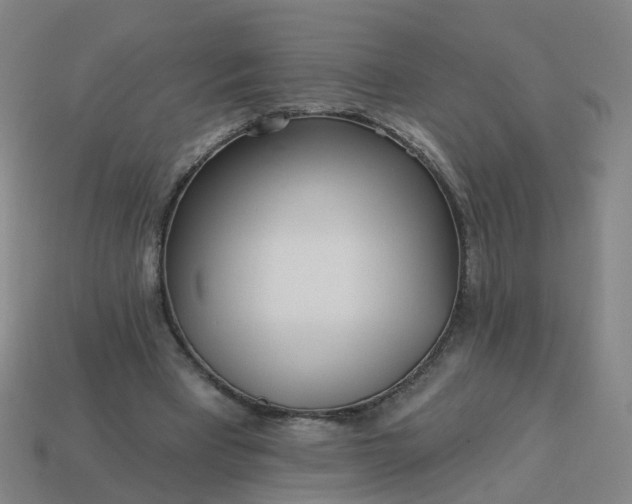 X0000114080393200910191546