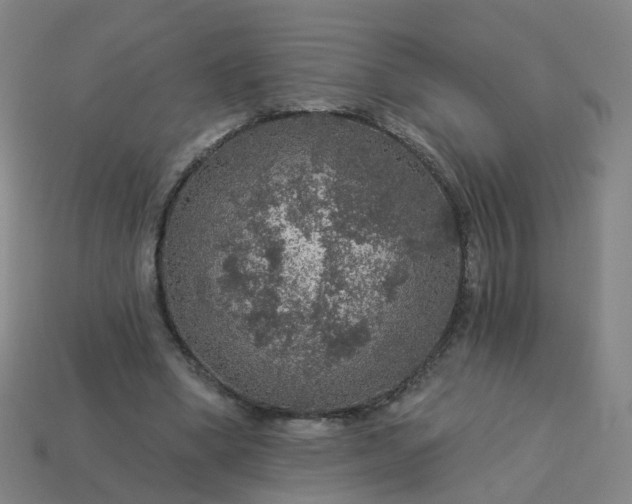 X0000114080394200910191546