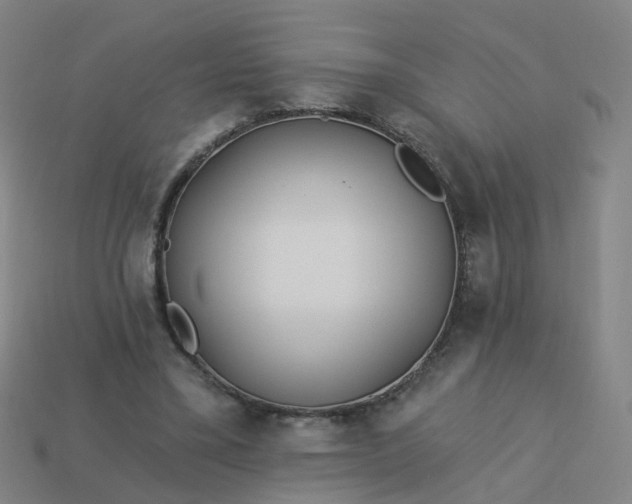 X0000114080395200910191546