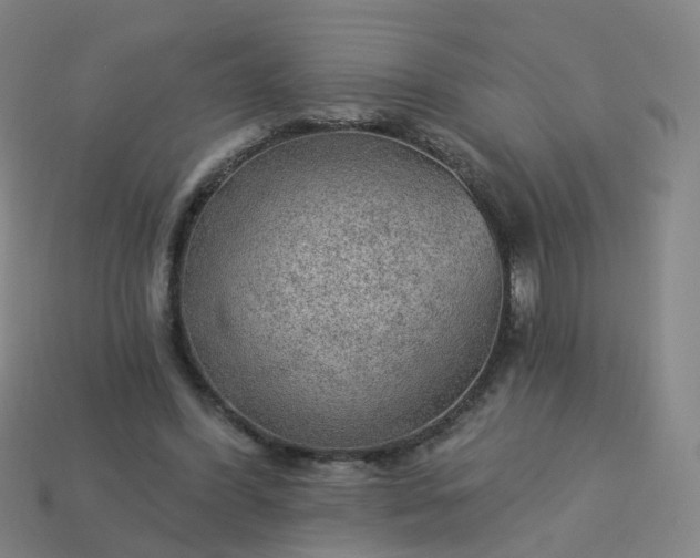 X0000114080396200910191546