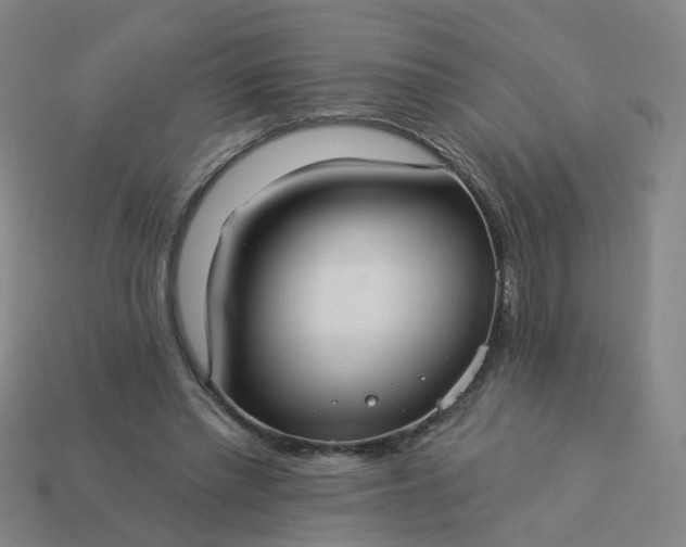 X0000114080397200910191546