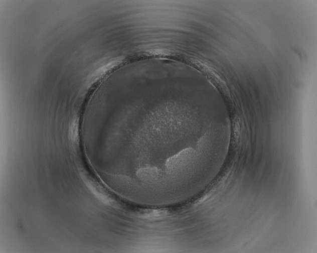 X0000114080398200910191546