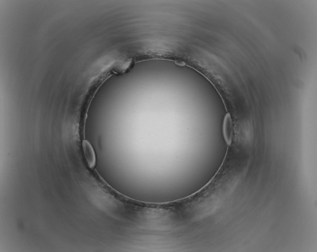 X0000114080399200910191546