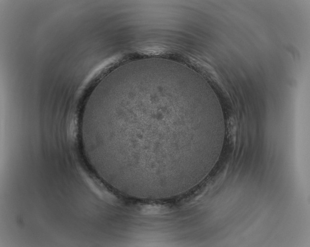 X0000114080400200910191546