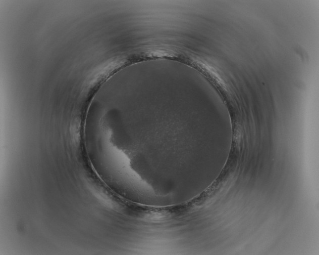 X0000114080402200910191546