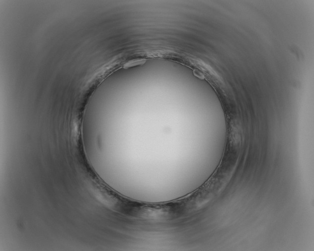 X0000114080405200910191546