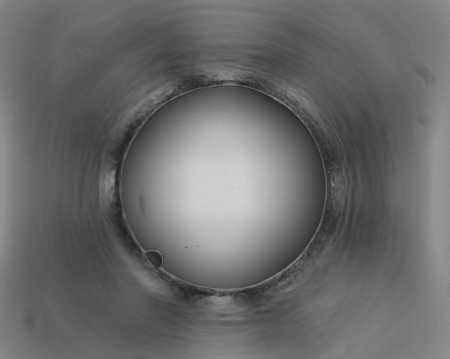 X0000114080406200910191546