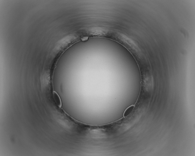 X0000114080407200910191546