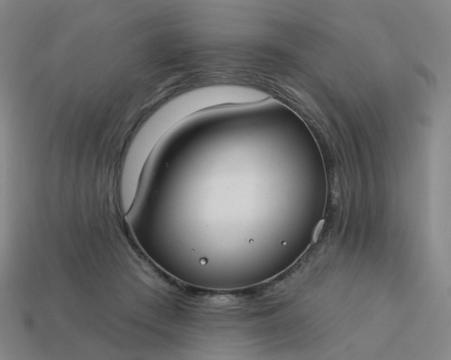 X0000114080409200910191546