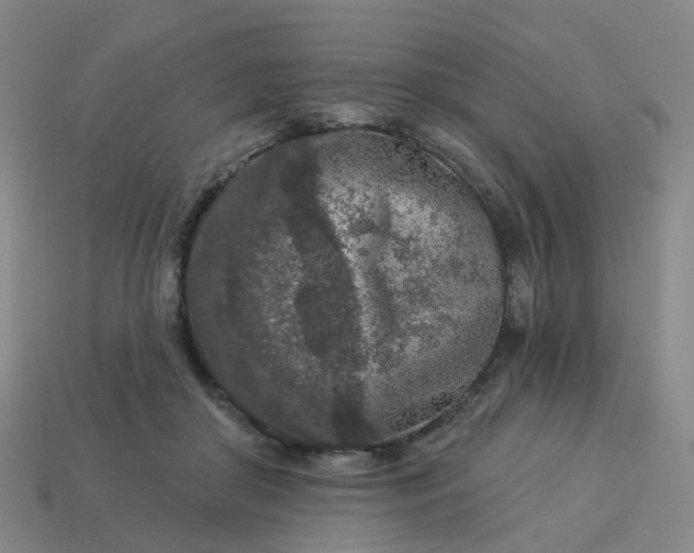 X0000114080410200910191546