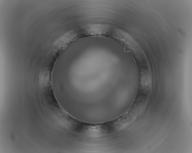 X0000114080411200910191546