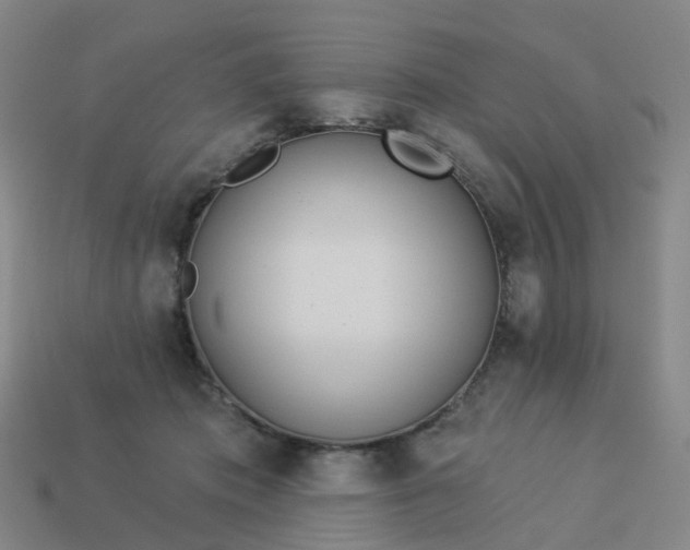 X0000114080413200910191546