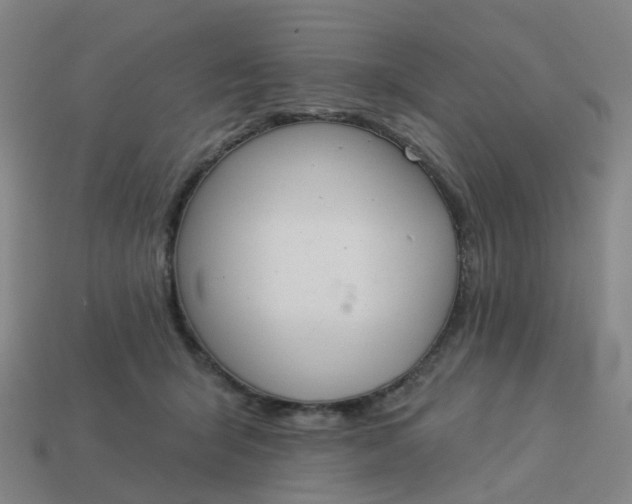 X0000114080415200910191546