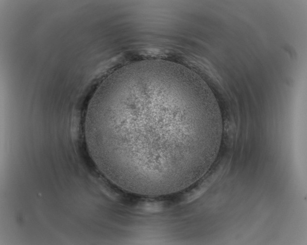 X0000114080416200910191546