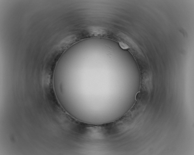 X0000114080417200910191546