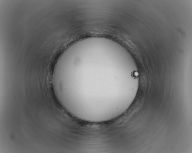 X0000114080419200910191546