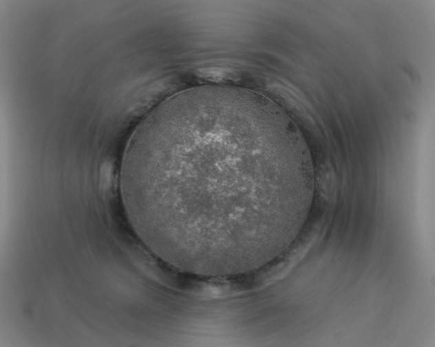 X0000114080420200910191546