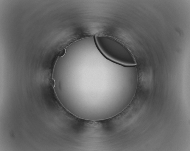 X0000114080421200910191546