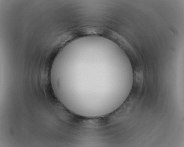 X0000114080422200910191546